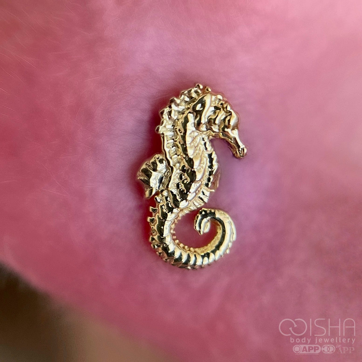 Anatometal 18ct Gold Seahorse End