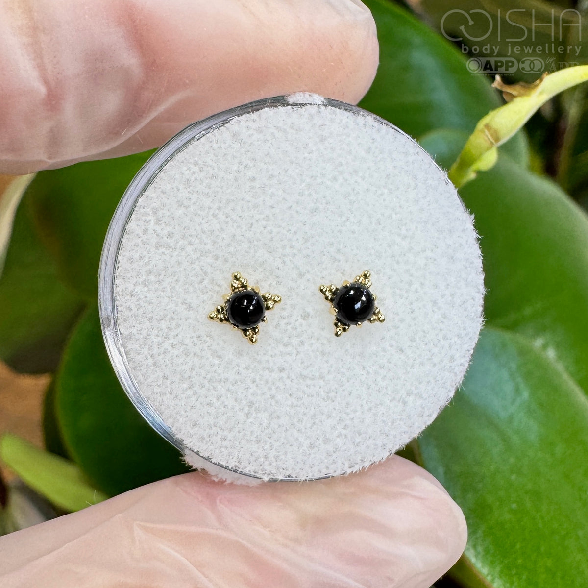 Anatometal 18ct Gold Black Onyx Zia End