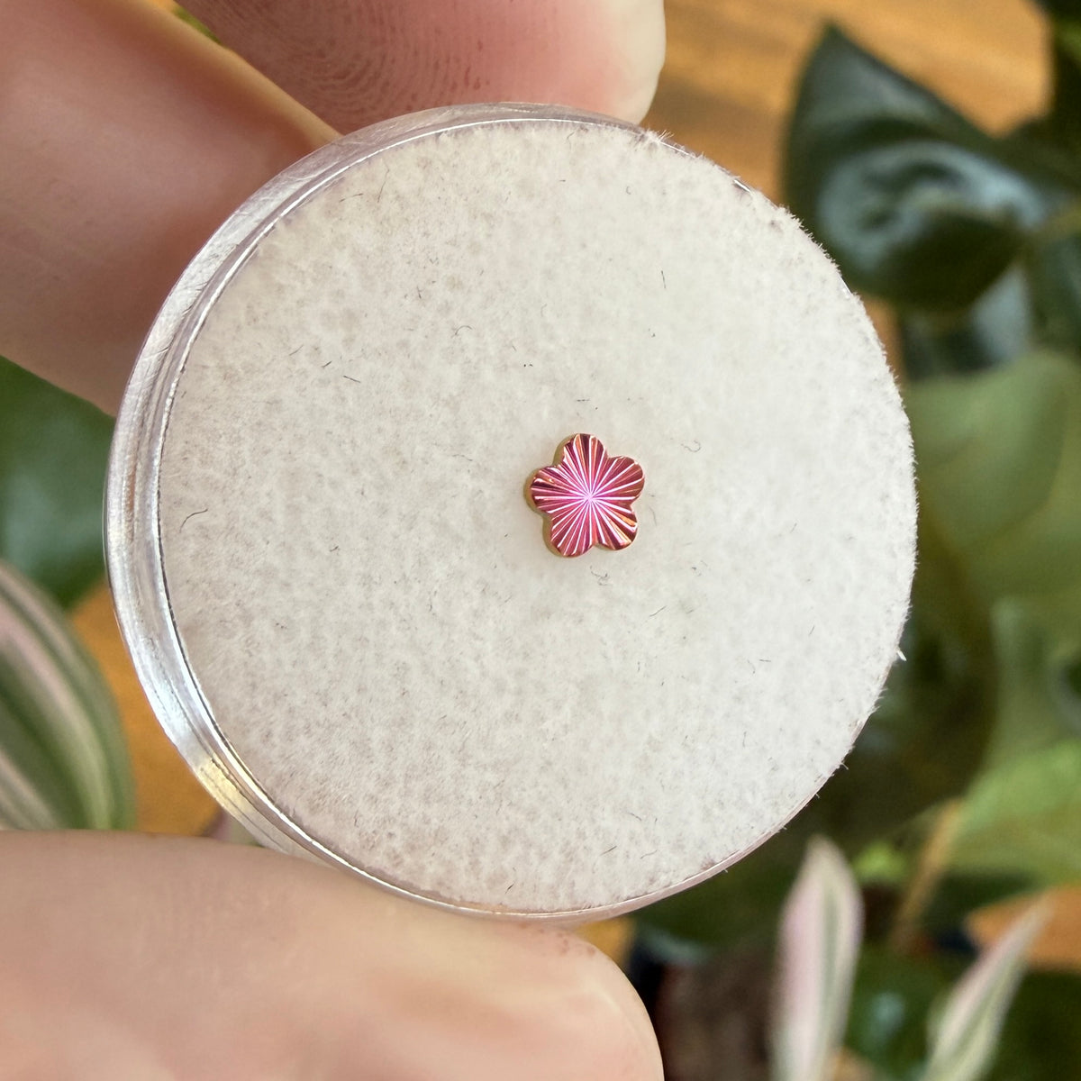 Junipurr Titanium Laser Blossom Threadless End