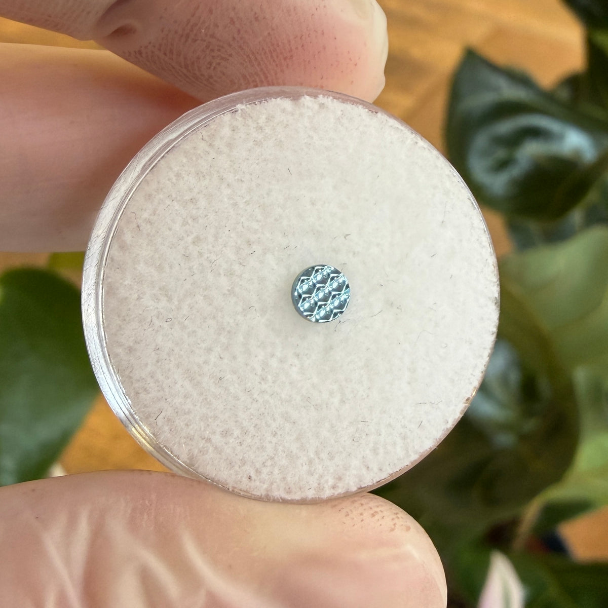 Junipurr Titanium Hammered Disc Threadless End