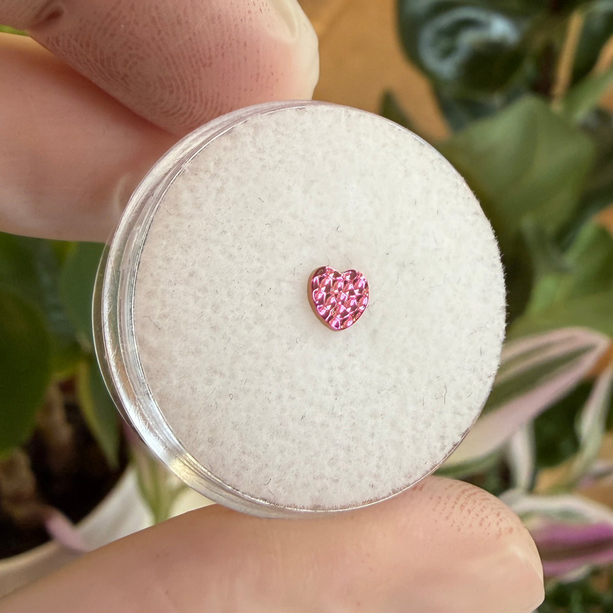 Junipurr Titanium Hammered Heart Threadless End