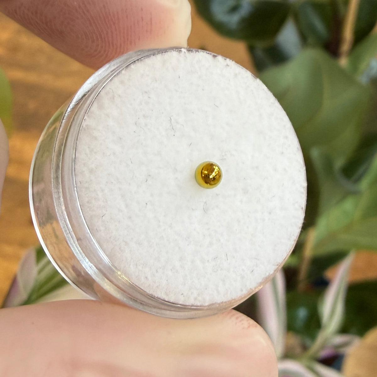 Junipurr Titanium Threadless Ball