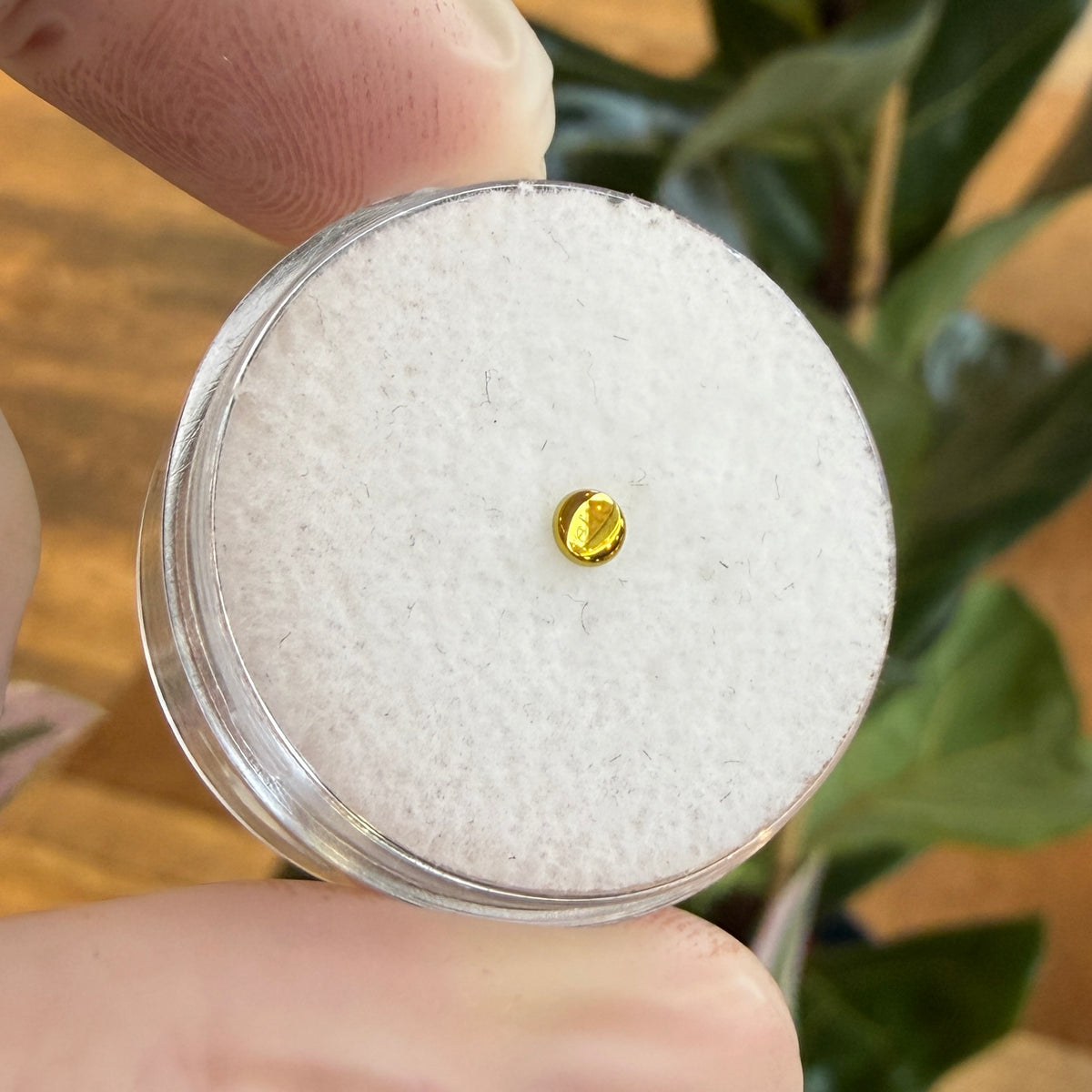 Junipurr Titanium Threaded Disc