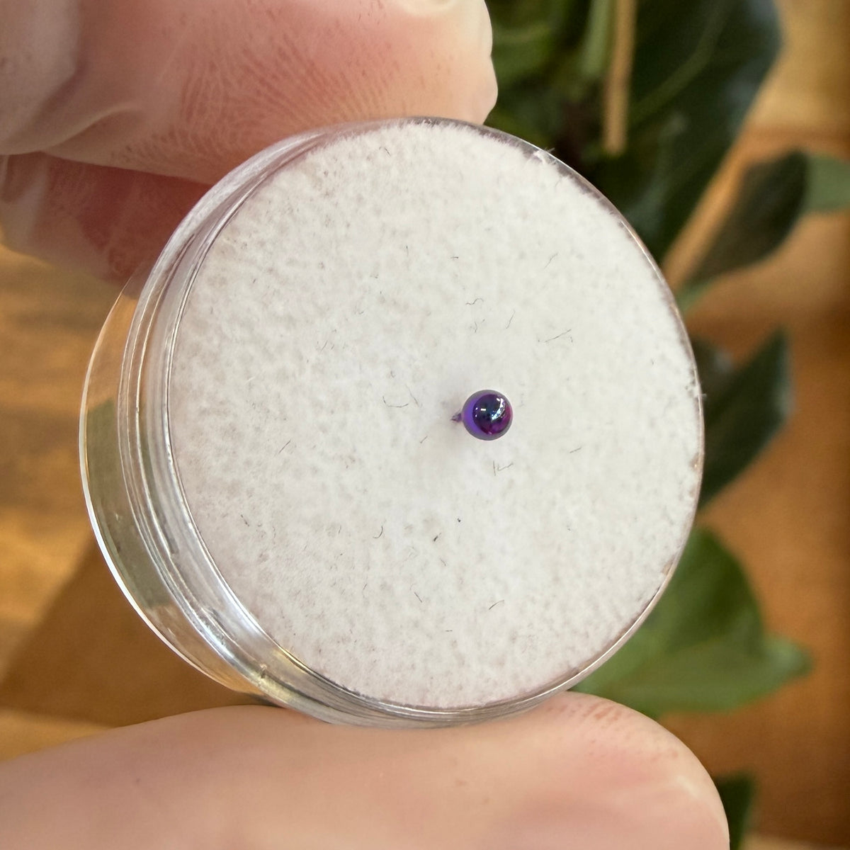 Junipurr Titanium Threadless Ball