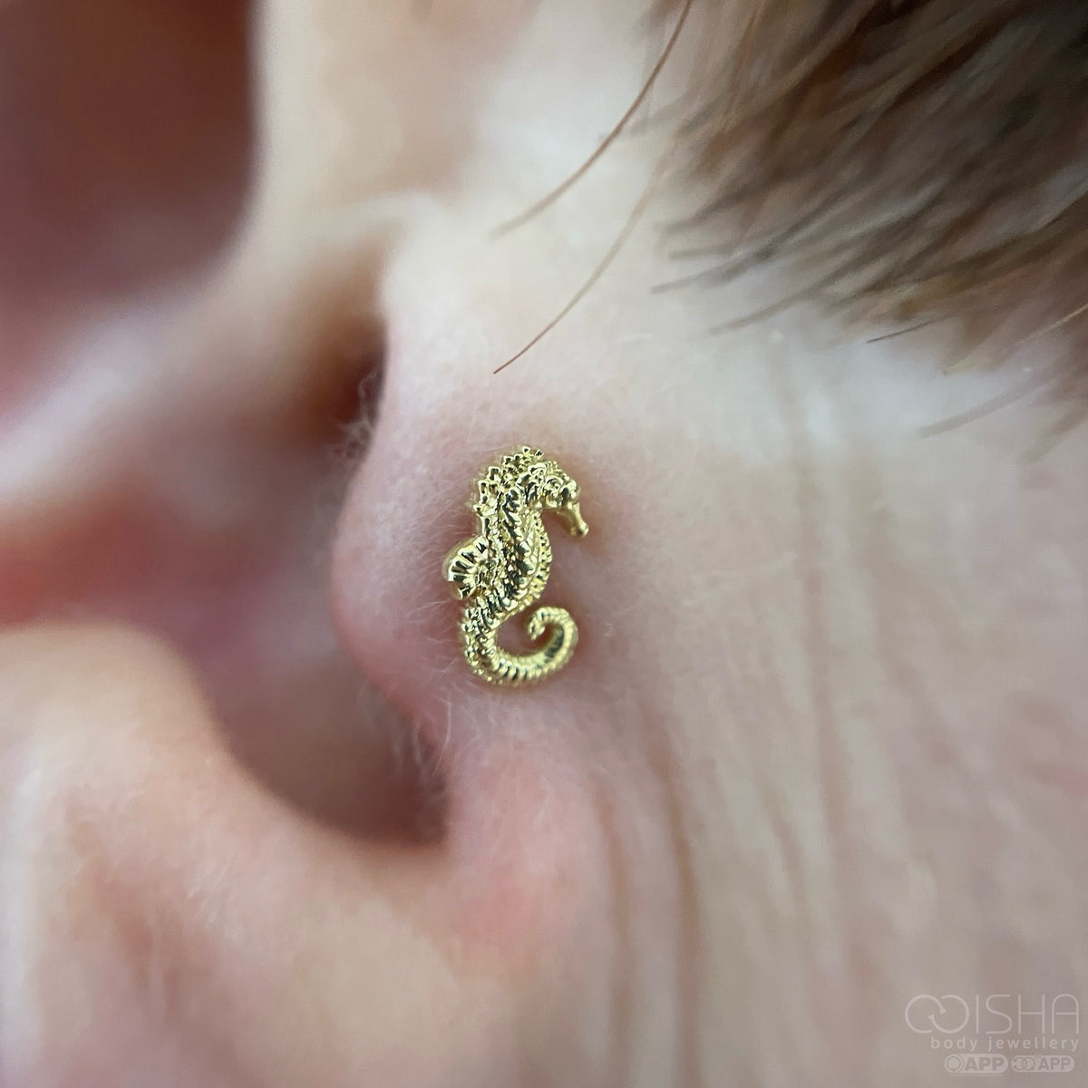 Anatometal 18ct Gold Seahorse End
