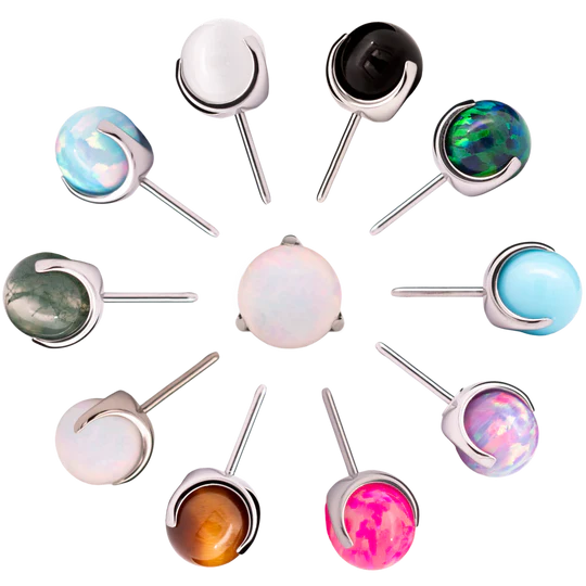 Junipurr Titanium Prong-set Orb End