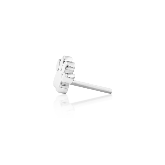 Junipurr 14ct Gold Mini Dog Paw End