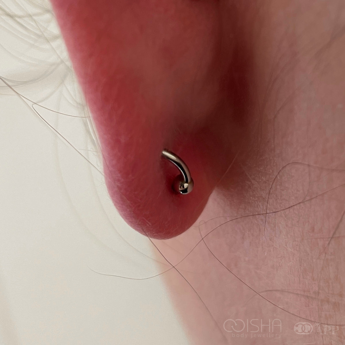 Anatometal Stainless Steel Fixed Bead Ring