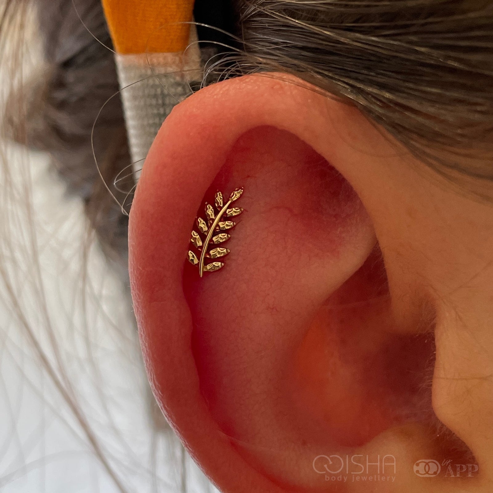       junipurr_14k-yellow-gold_Willow_right-ear-isha-body-jewellery