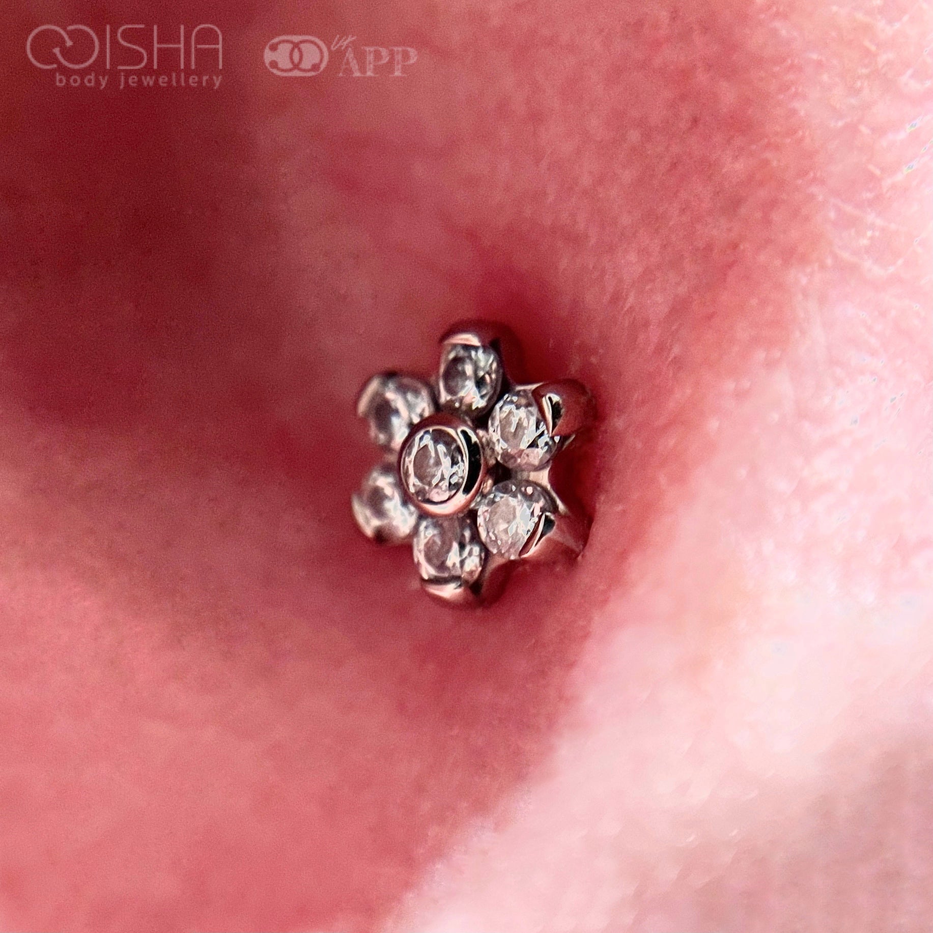 industrial-strength-titanium-odyssey-6-petal-white-cz-flower-end-isha-body-jewellery