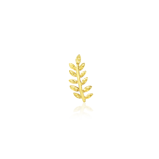       junipurr_14k-yellow-gold_Willow_right-ear-isha-body-jewellery